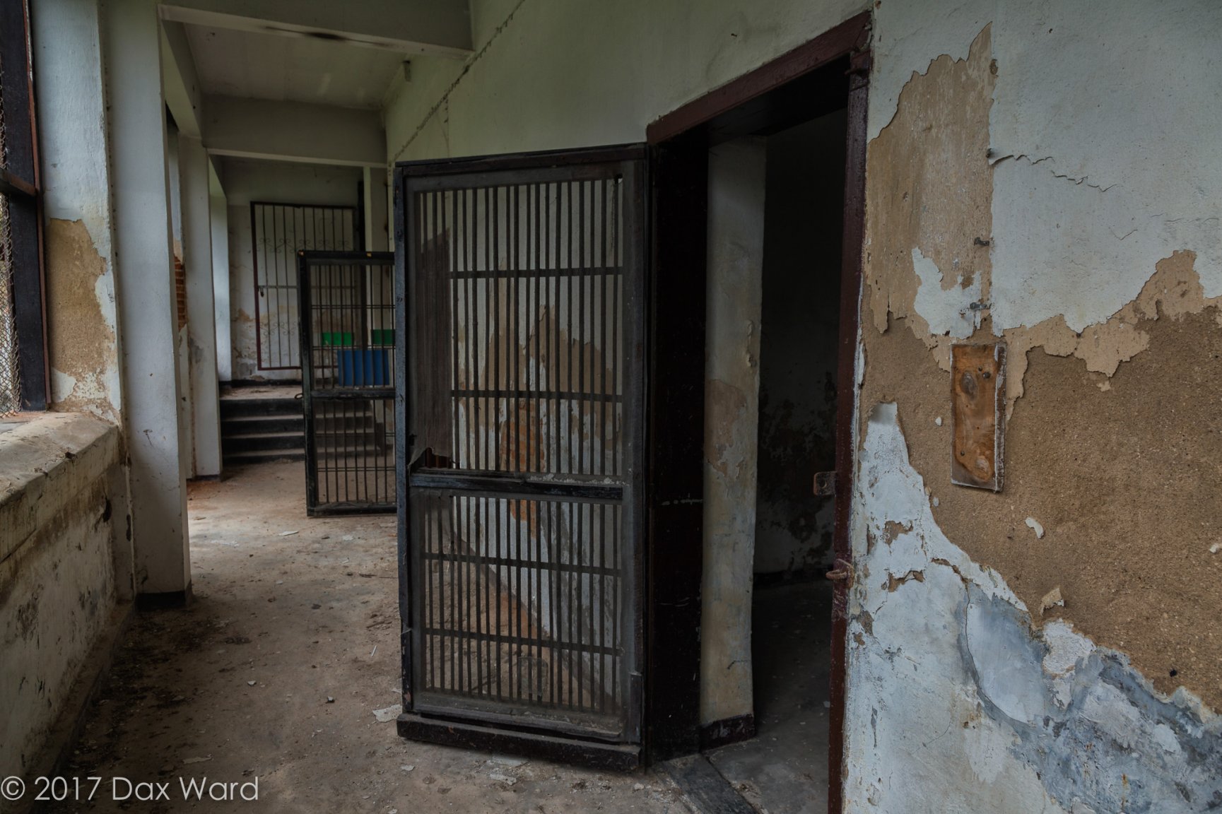 20171227dw220 copy.jpg