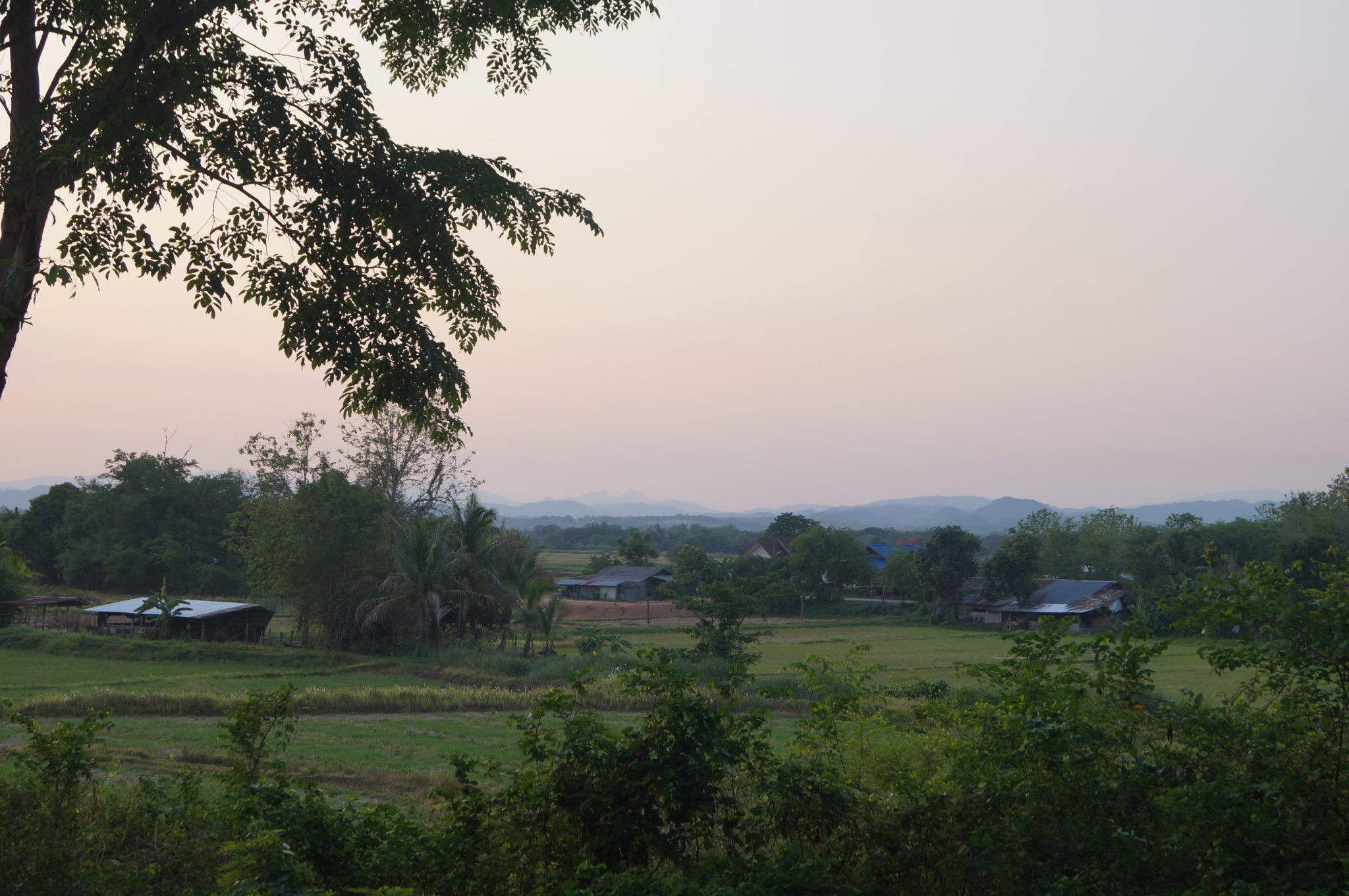 DSC00768.JPG