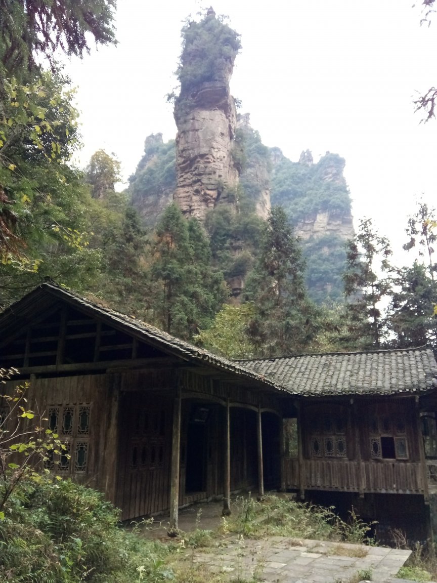 IMG_20171118_102848.jpg