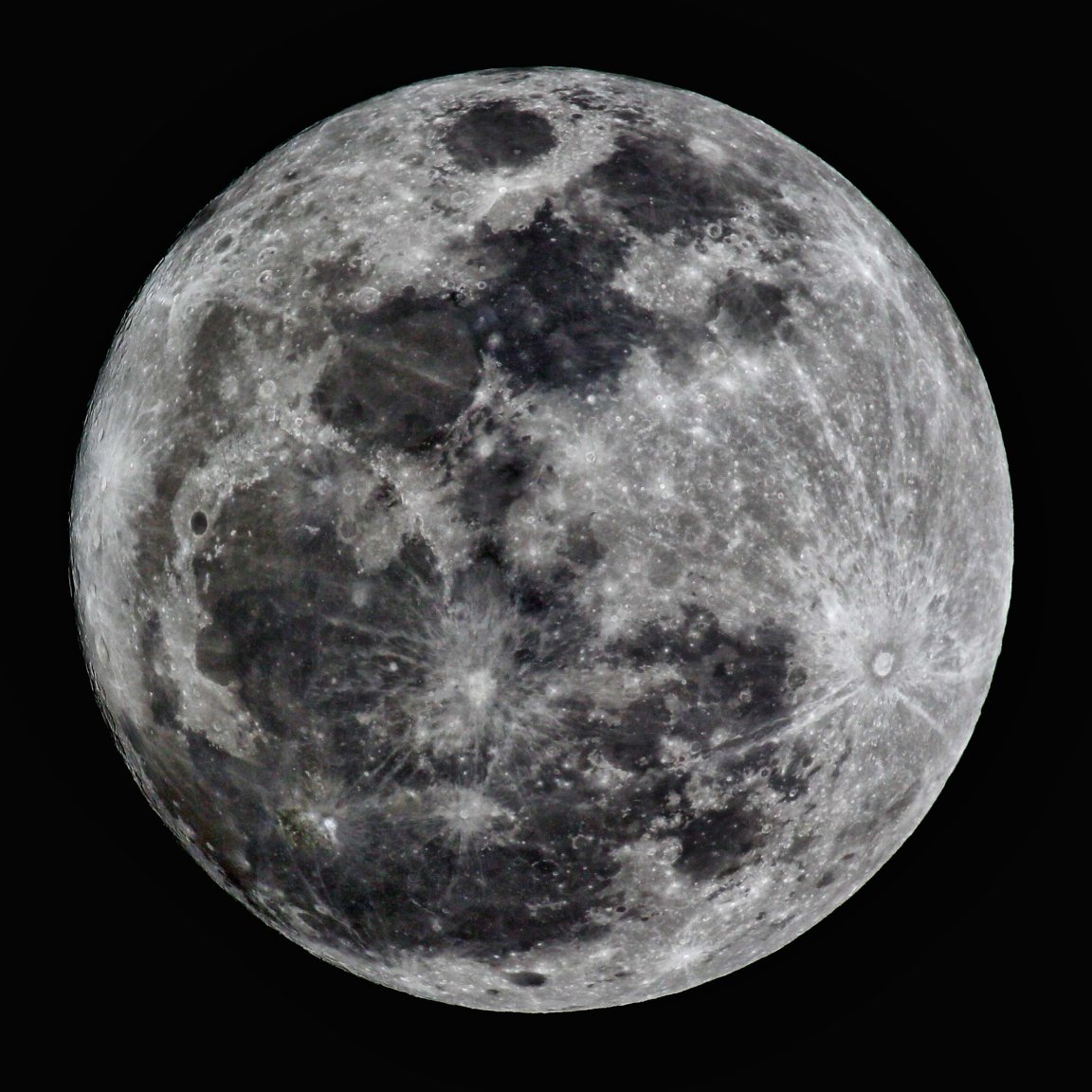 LL4A4122a.jpg
