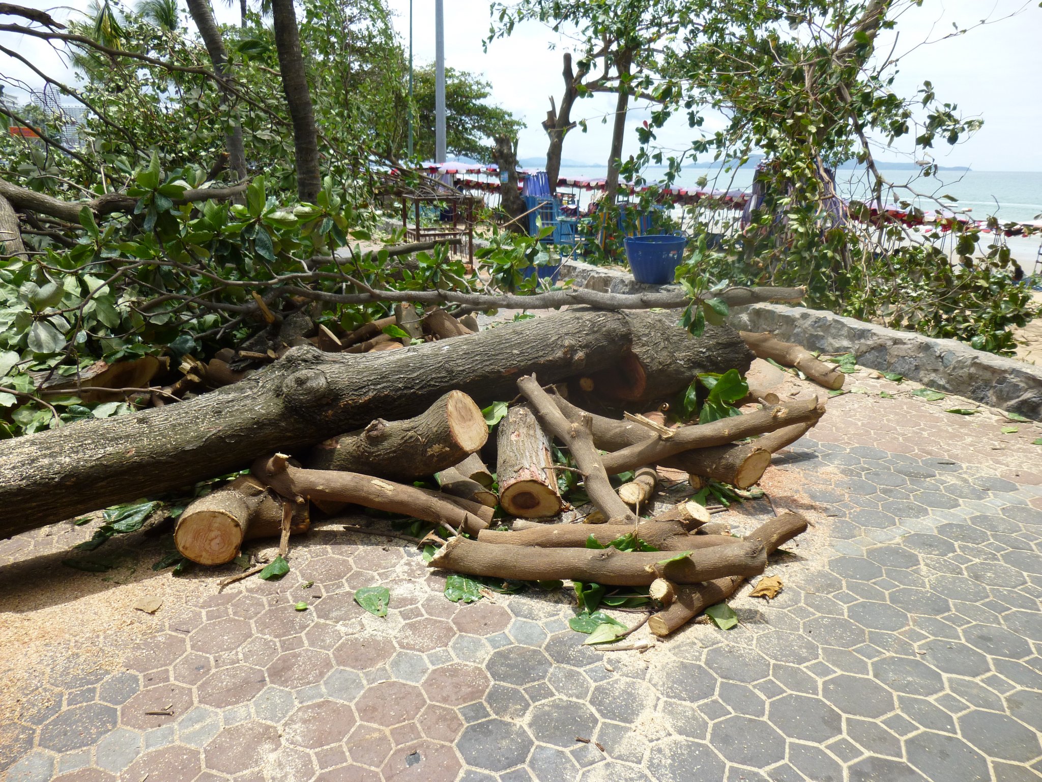 P1010113.JPG