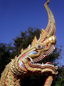 blog15-225x300.jpg
