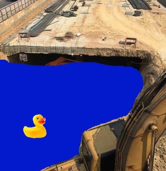 duck.jpg.4a4a5136235f51a8c269988d6114eec6.jpg