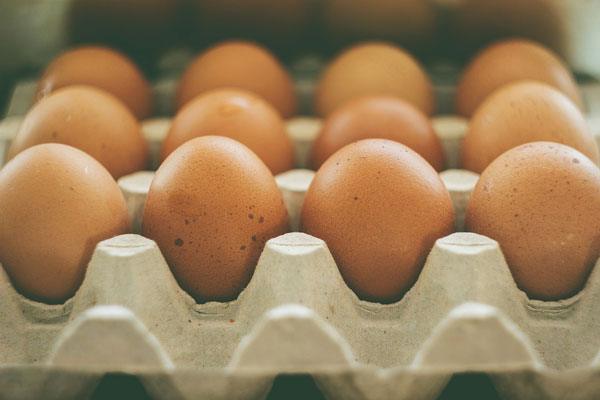egg.jpg