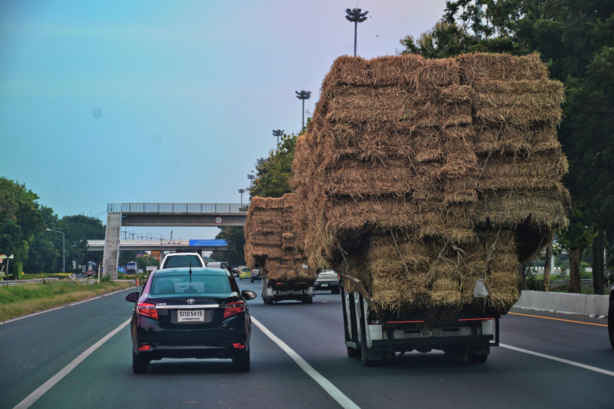 hay2.JPG