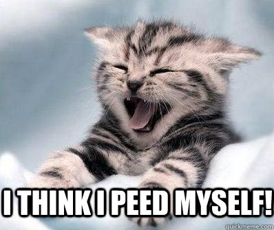 peed.jpg.350c245659dd516c82eb3be61df79f14.jpg