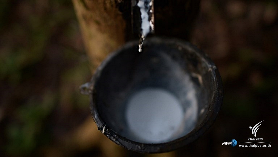 rubber-afp.jpg