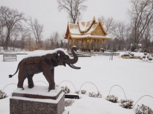 snow-in-thailand.jpg.7de819d464cdd4161e453fe360aca5da.jpg