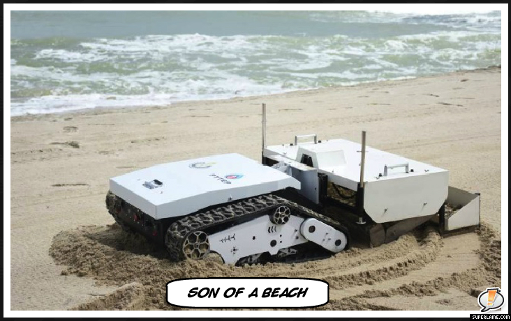 sonofabeach.jpg.1c780bc47a25eee857c4707564c8859b.jpg