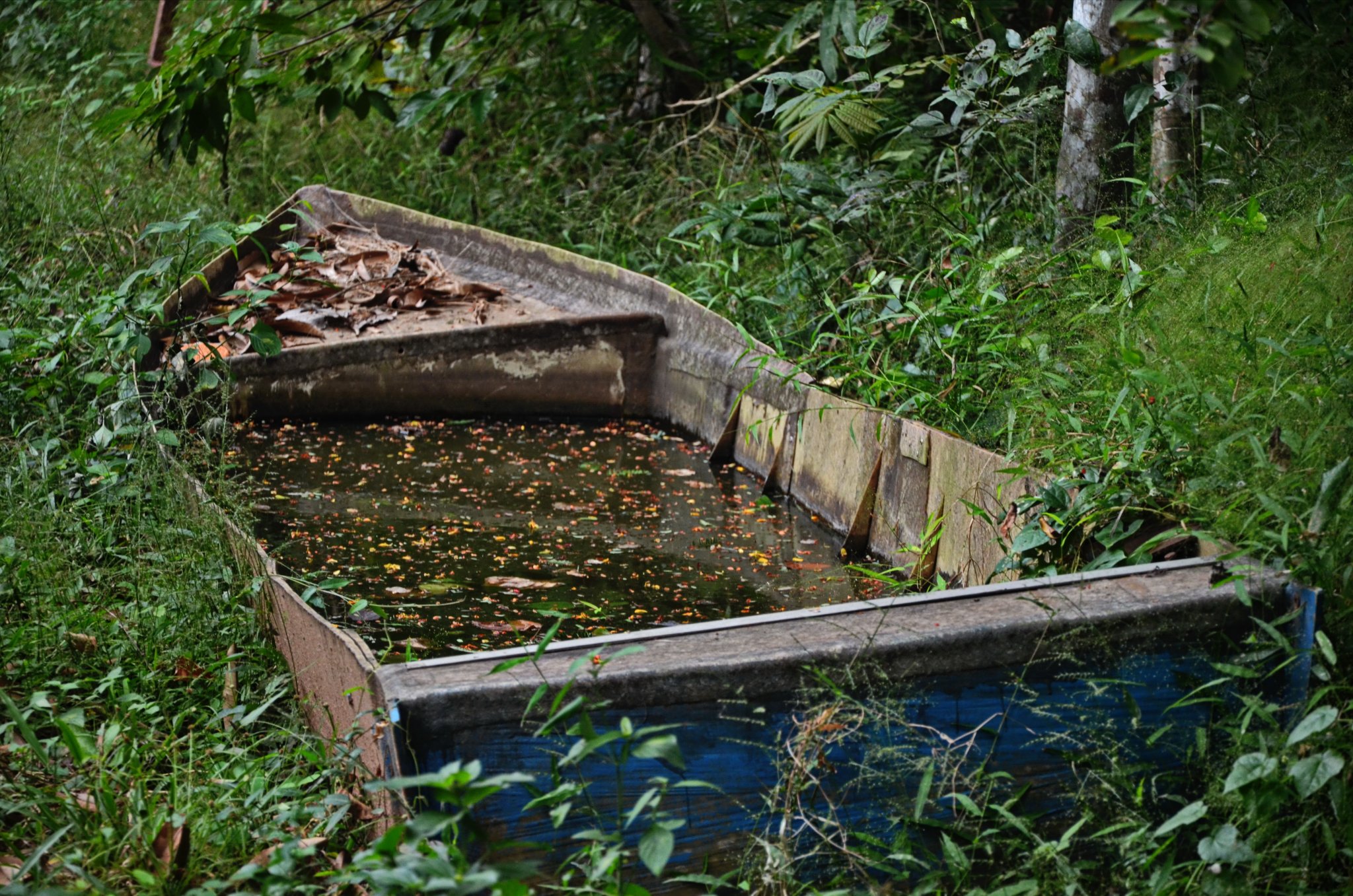 water.JPG