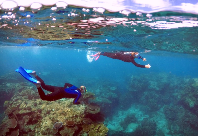 2018-01-04T231754Z_1_LYNXMPEE031GR_RTROPTP_3_AUSTRALIA-ENVIRONMENT-REEF.JPG