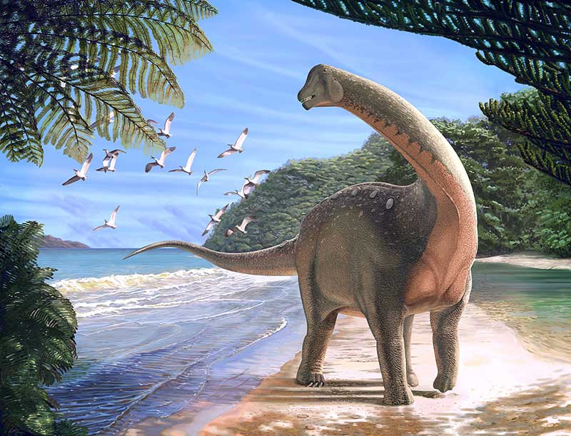2018-01-30T012427Z_1_LYNXMPEE0T033_RTROPTP_4_SCIENCE-DINOSAUR.JPG