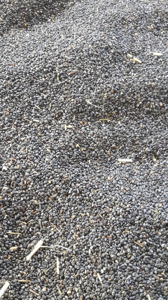 20180101_110454.jpg