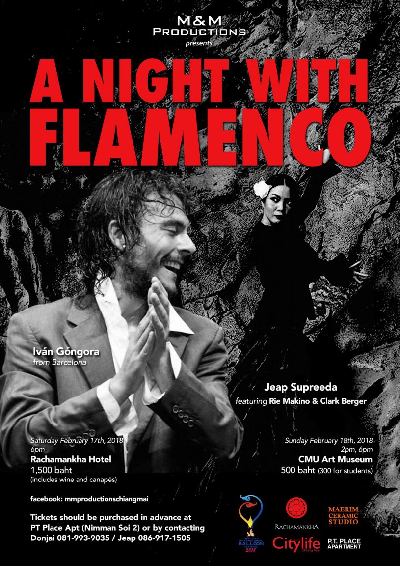 A night with Flamenco