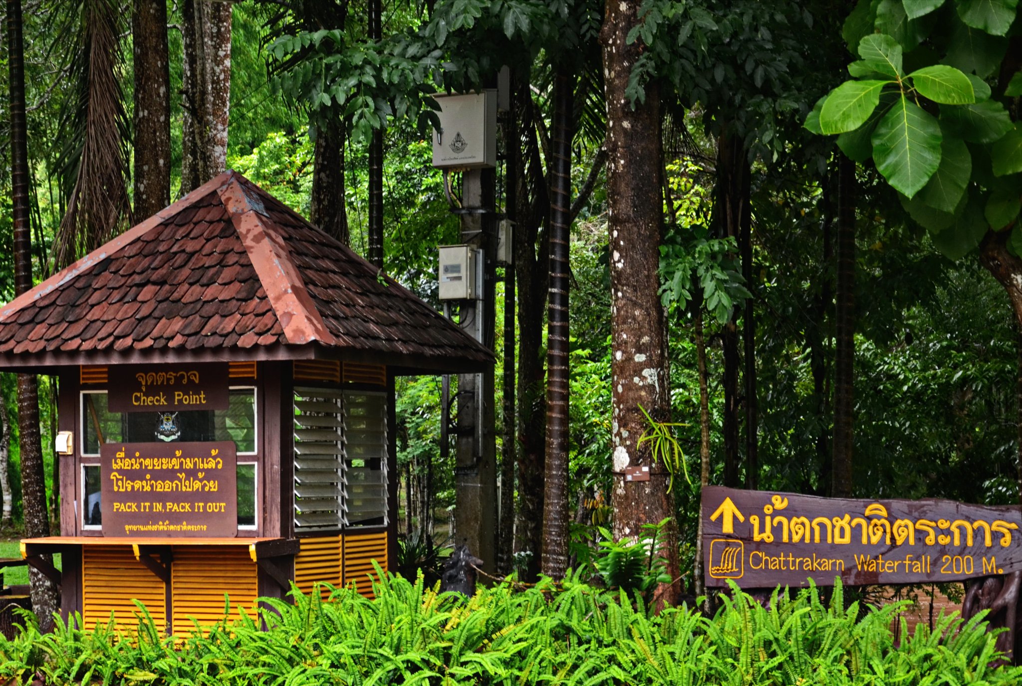 waterfall park.JPG