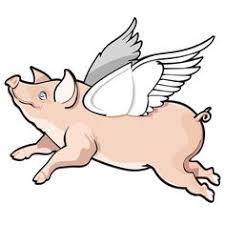 5a5eaced72c4b_flyingpig.jpg.6549ae851e97b85c33d6381ee7ac0256.jpg