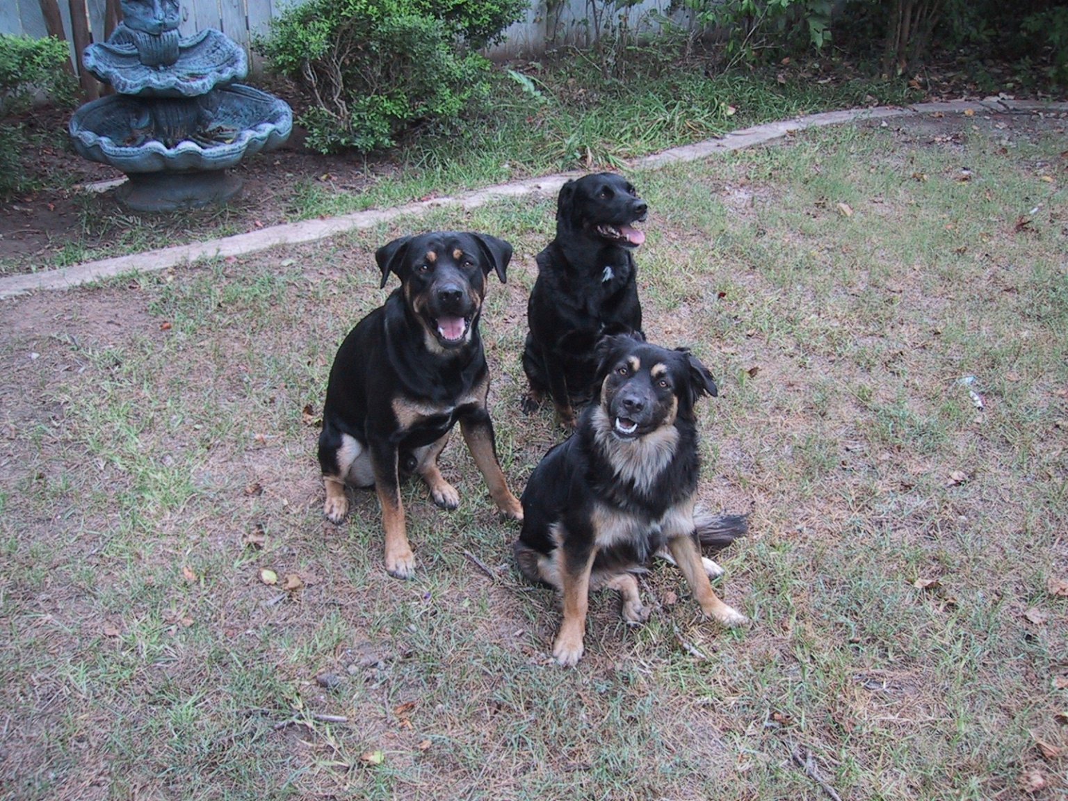 After Rescue.jpg