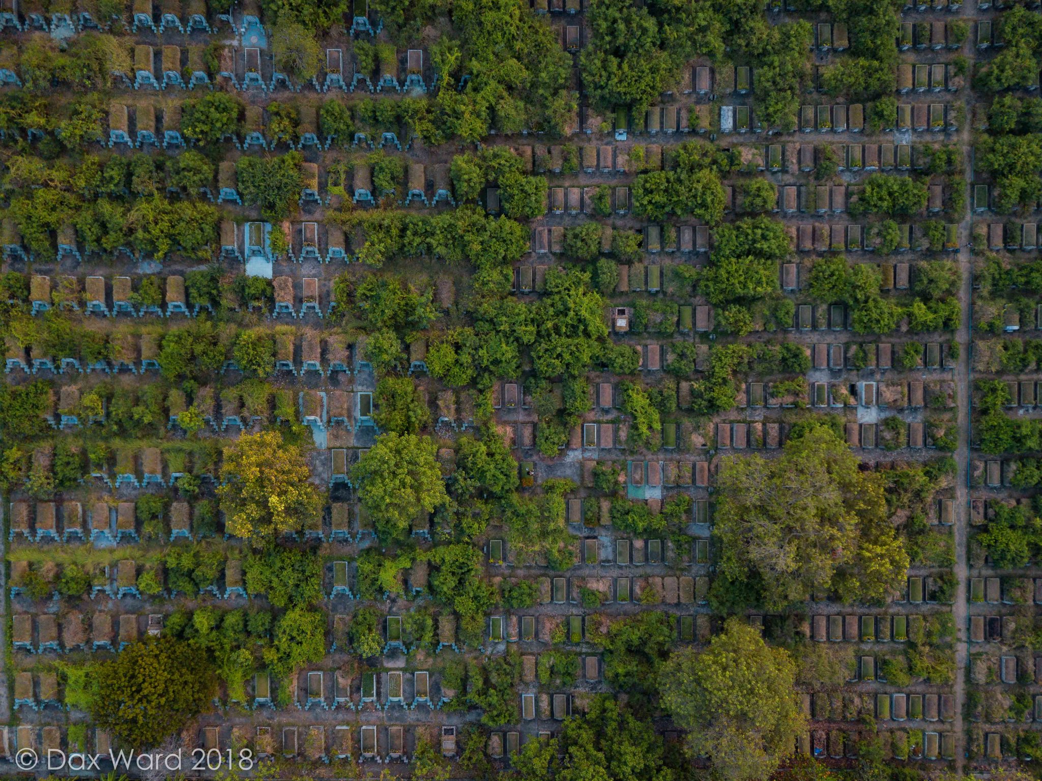 20180120dw51 copy.jpg