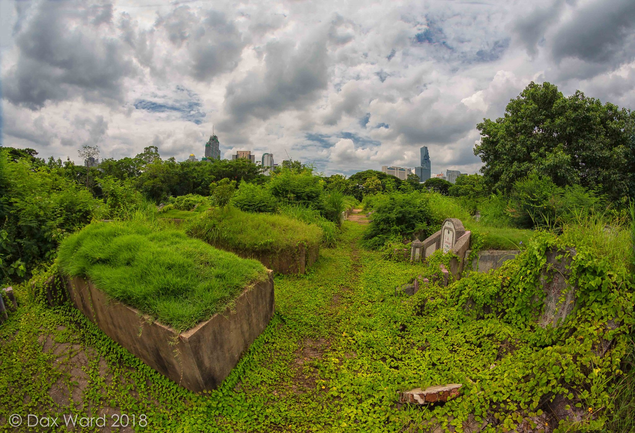 20160608dw095 copy.jpg