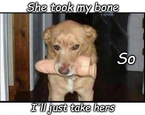 Bitch-took-my-bone.jpg.b39d64a0787c7c3b7d652df41e5302a6.jpg