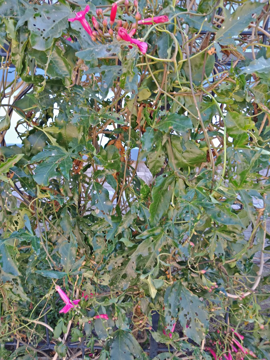IMG20180114124318.jpg