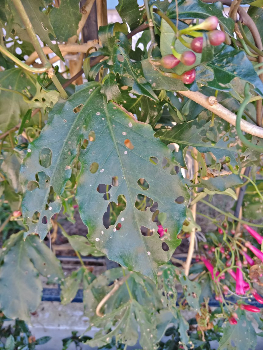 IMG20180114124324.jpg