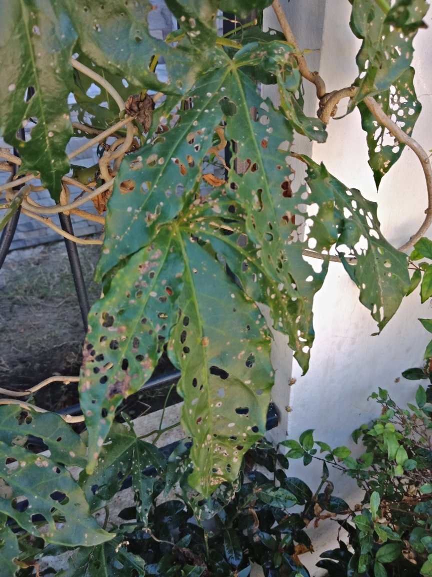 IMG20180114124332.jpg