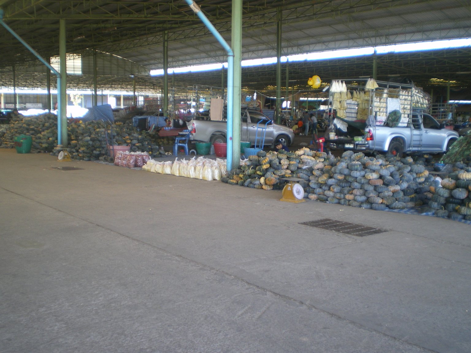 IMGP0007.JPG