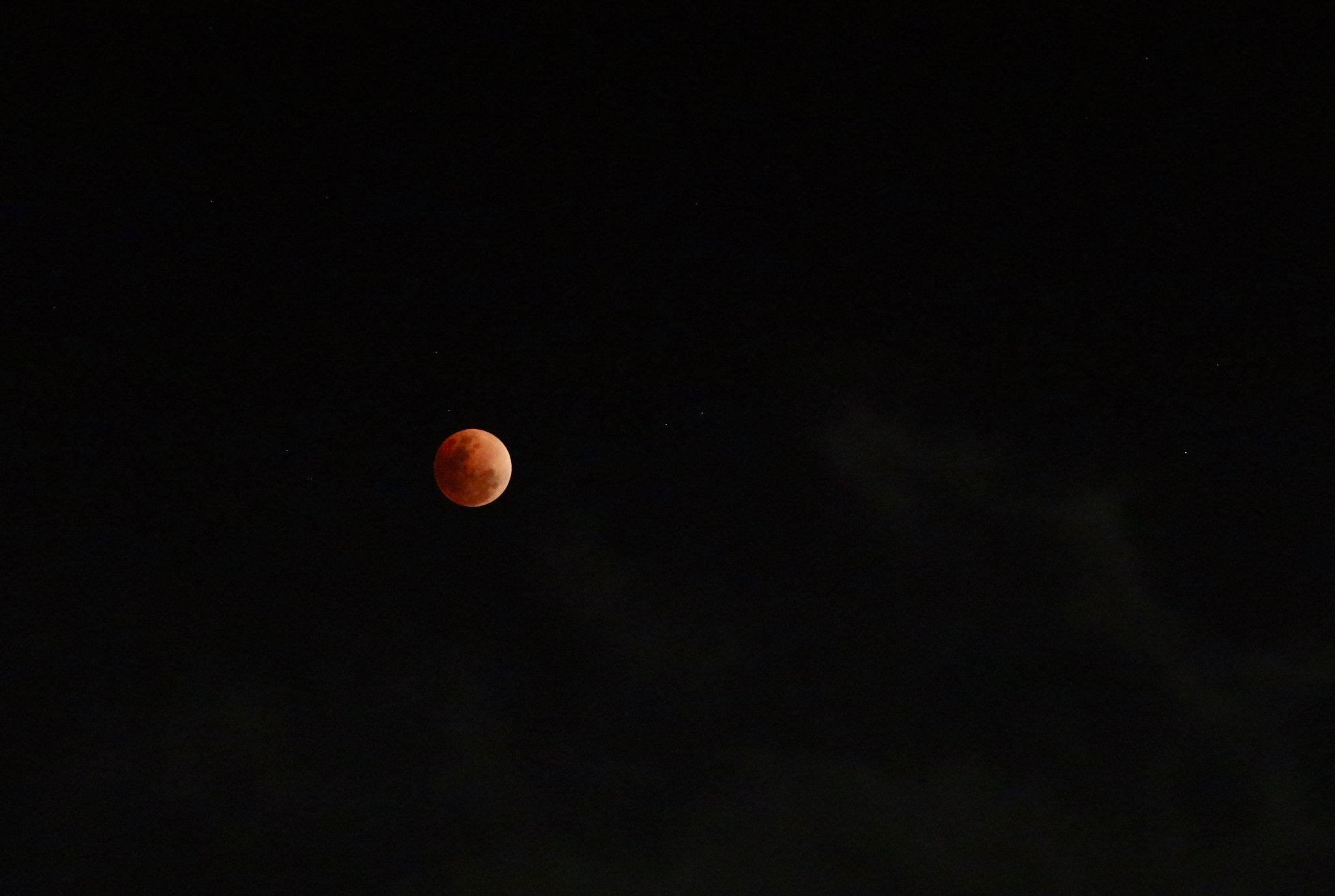 IMG_6287.jpg