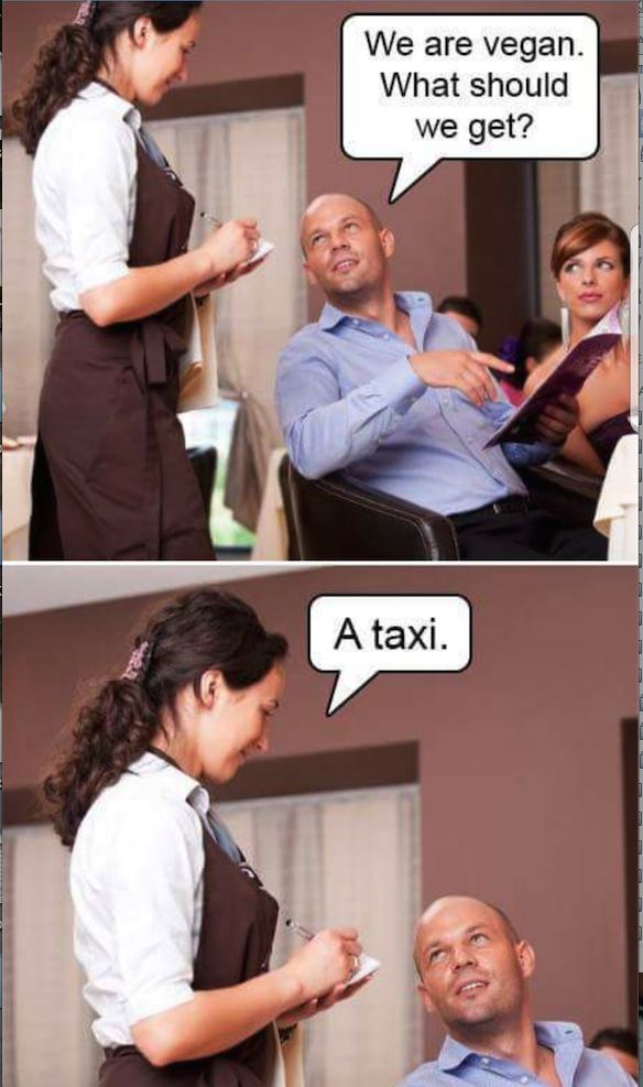 Vegan.jpg.6e061305e714e92f1f9ae221e64b8da2.jpg