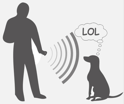 doglol.jpg.e9e98a48c335ba286a8b0e2c06d01181.jpg