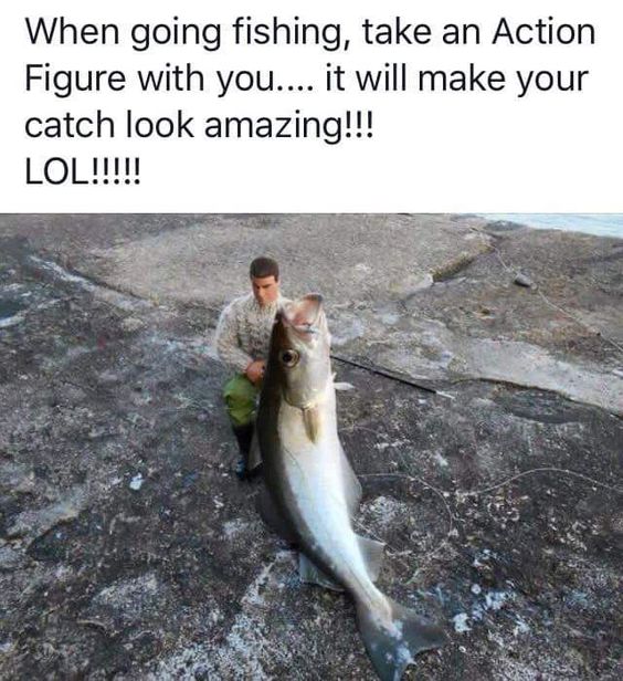 e675091fb708b98ea01203624e21d45d.jpg.c8299382be10a616413c2394d24dc038.jpg
