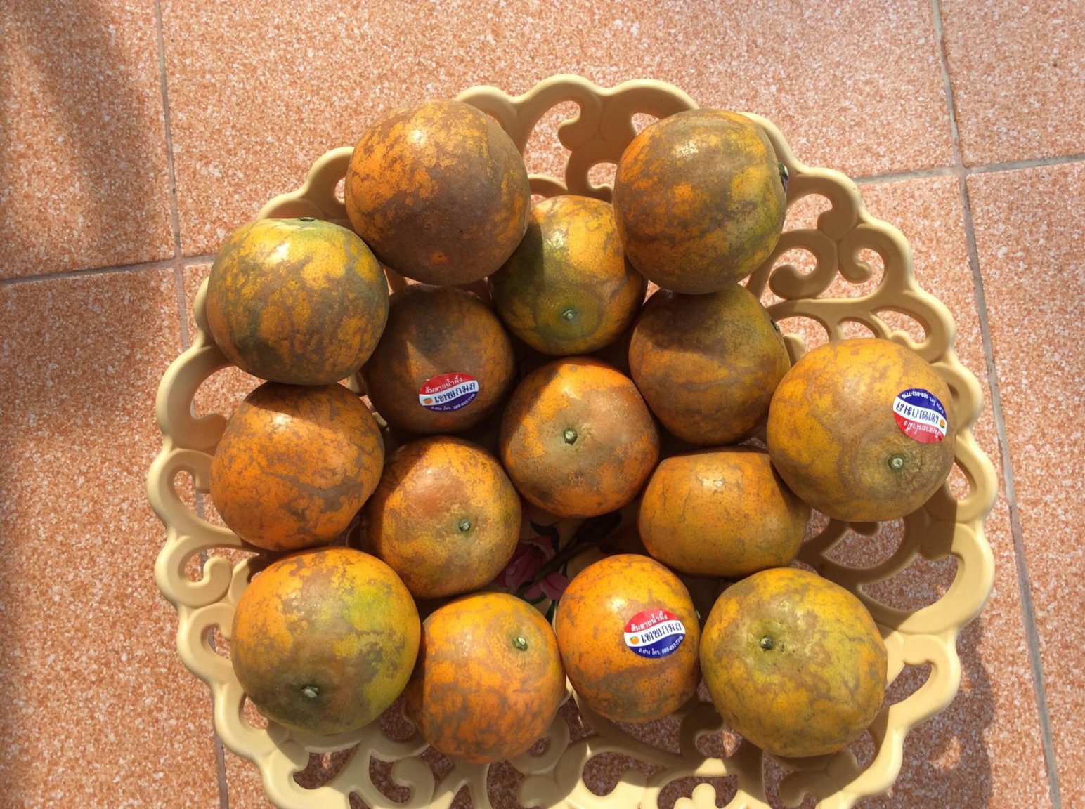 oranges.jpg