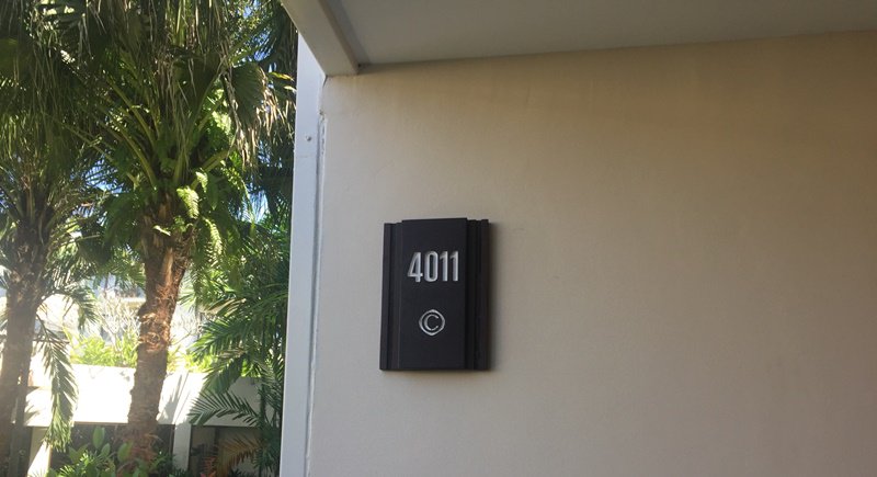 p1.jpg