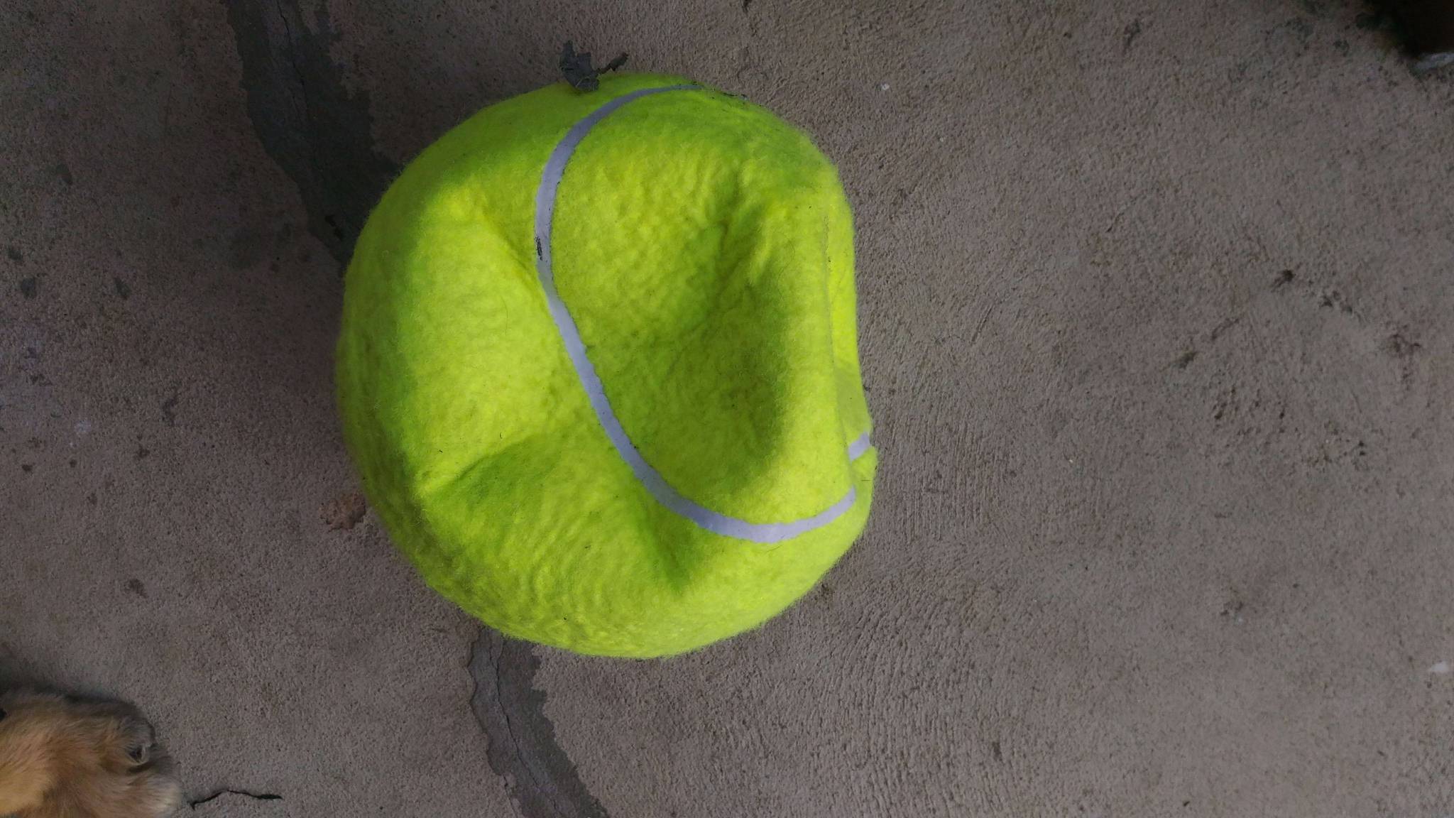 resized_Kahlua_Tennisball-04_c.jpg.1286c7749962ef878473b93c89af1a3c.jpg