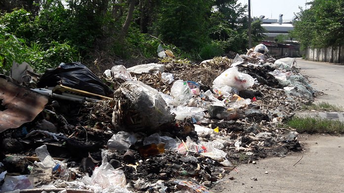 1281-n16-rubbish.jpg