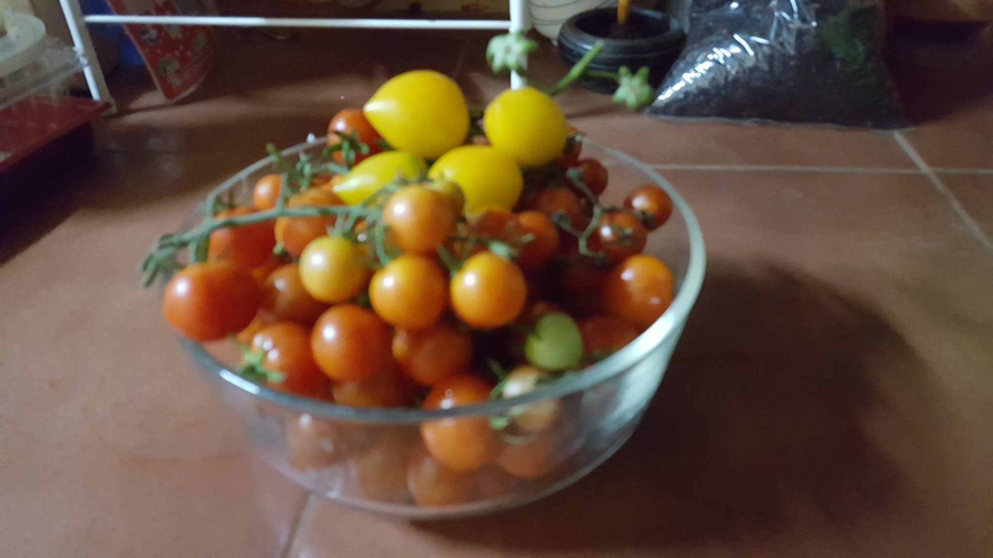 20180222_195103.jpg