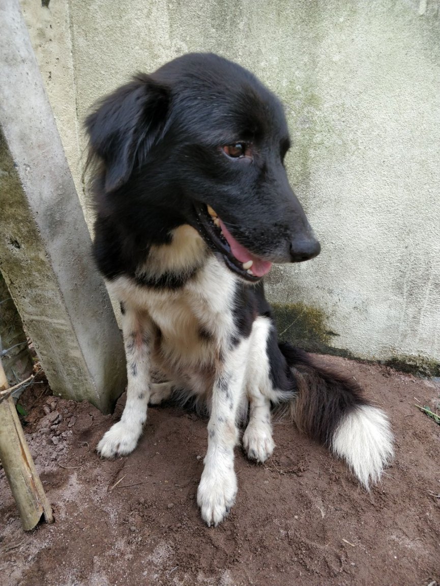 Murphy 2.jpg