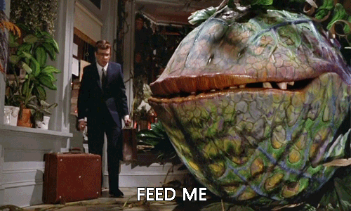 5a86da309e25e_feedme.gif.4cc1fe0fb4cd4d0d10fb8a9d0e4e8f02.gif