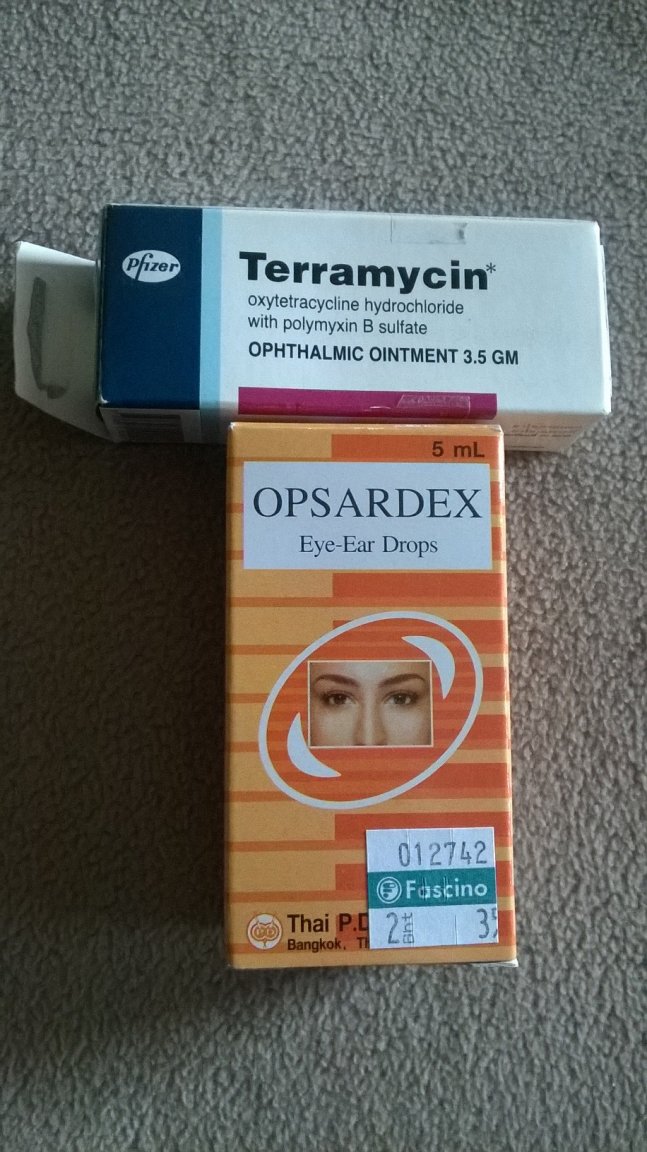 Antibiotic.jpg