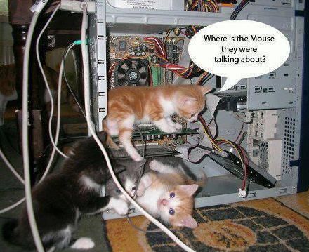 Can-you-find-it.jpg.4dc3cd81a085c5eefc955c992592752e.jpg