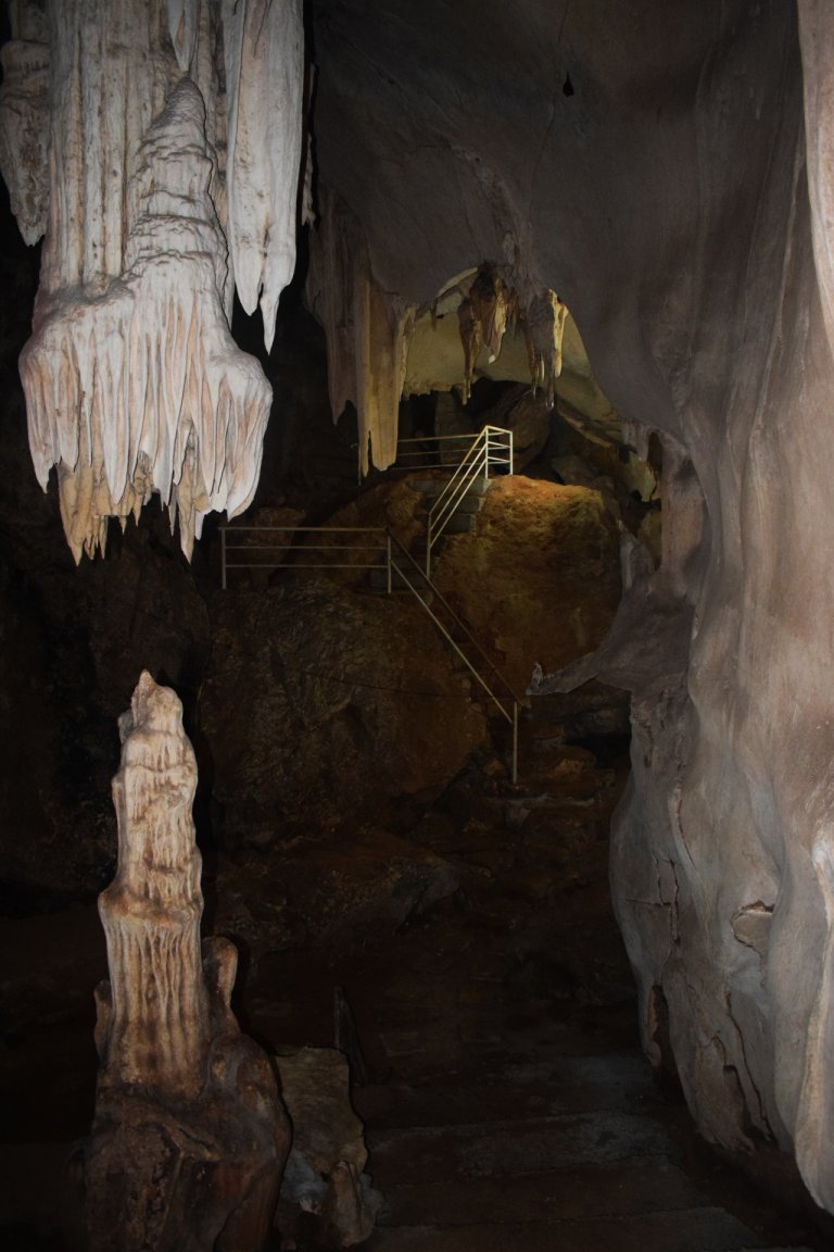 DSC_1195.thumb.JPG.5bcb7ee4581e4151d948da569e8e3228.JPG