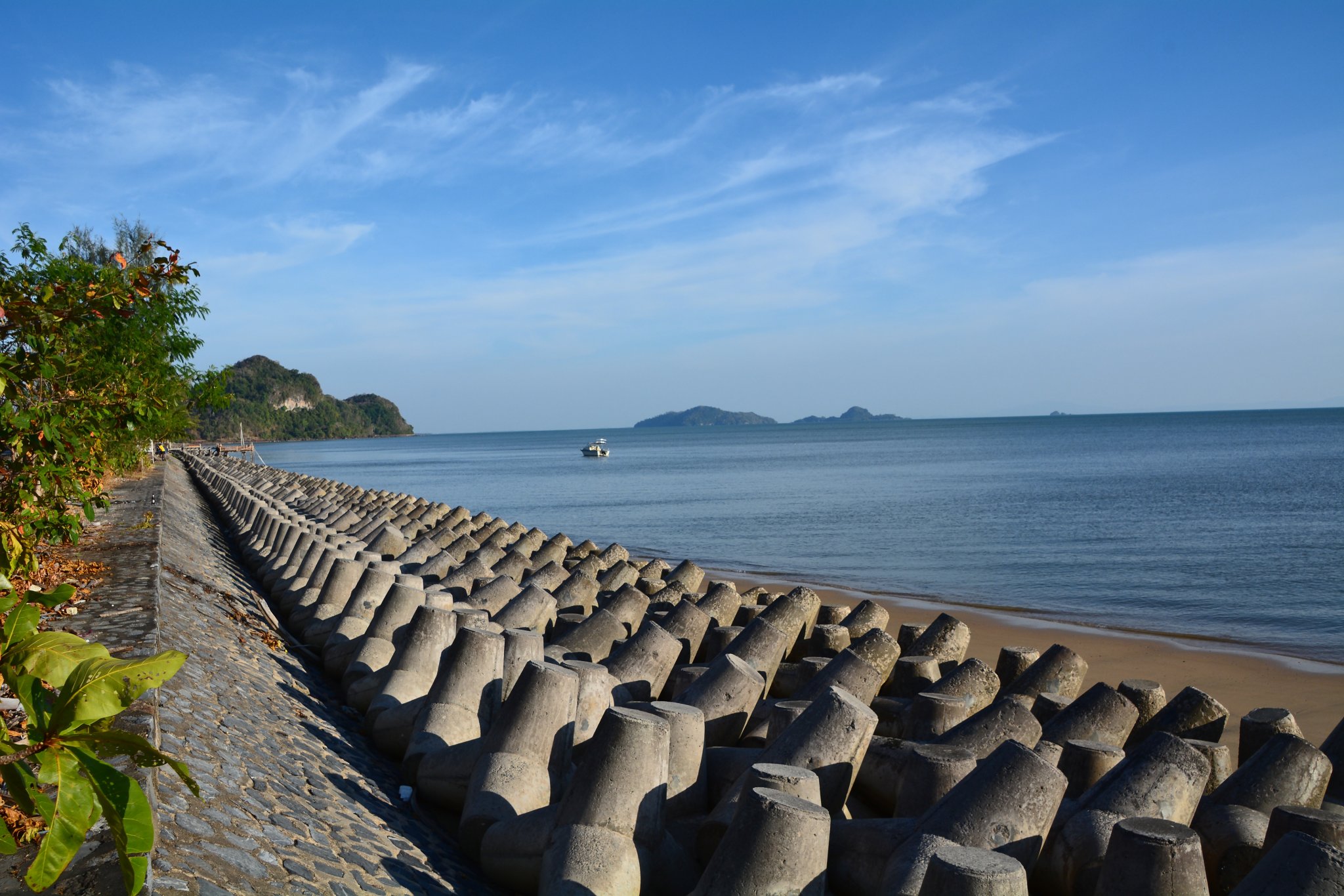 DSC_2111ps.jpg