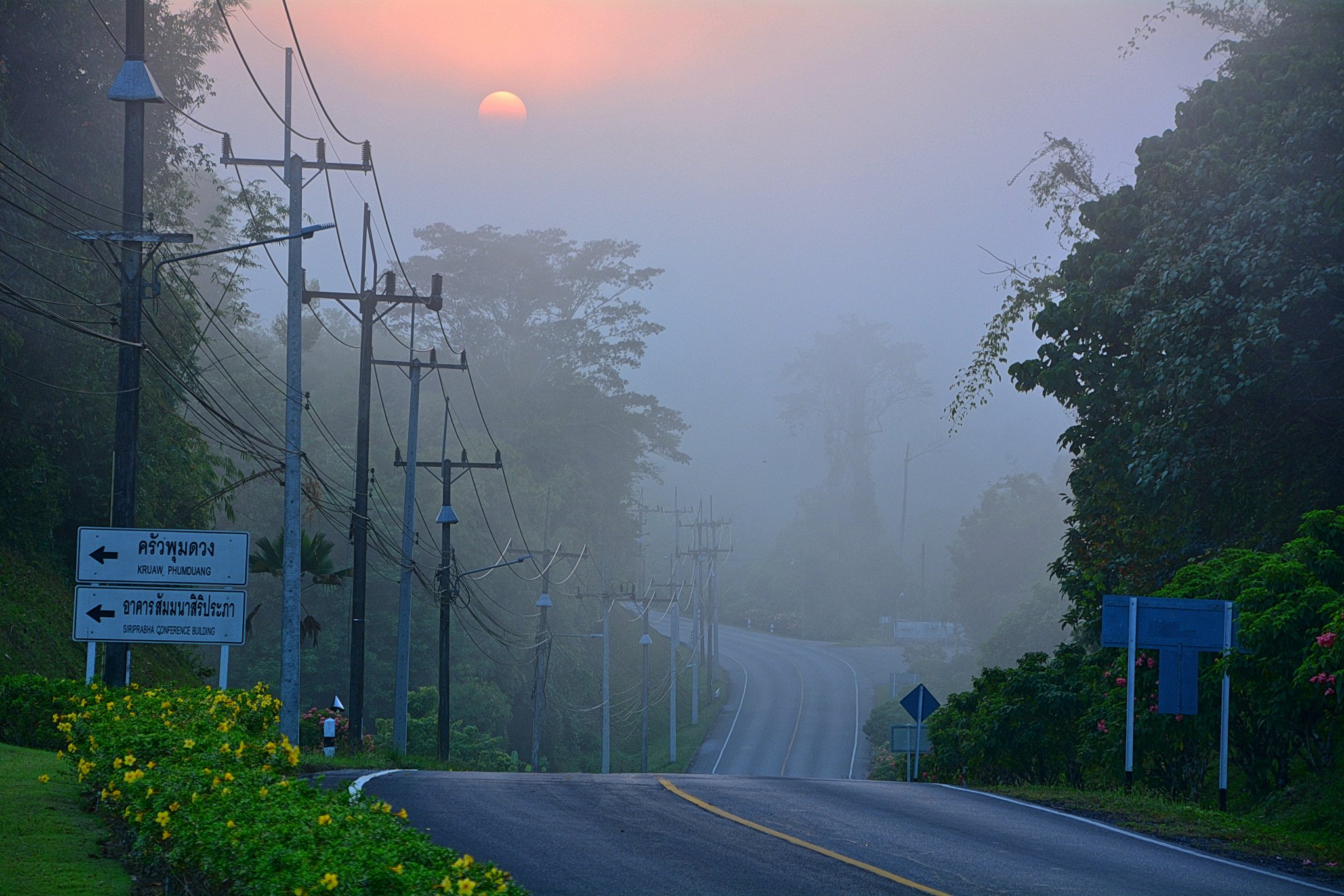 DSC_3558ps.jpg