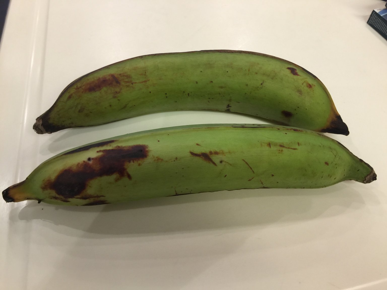 Platanos.JPG