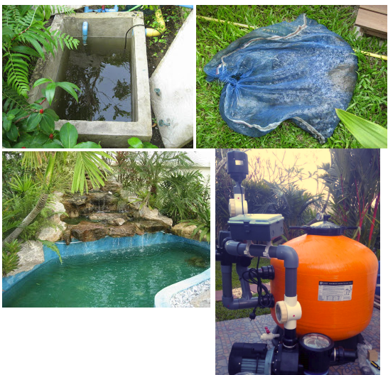 Pond.png.ddb8090c87a5ea0f3d1a1a142024bdc6.png
