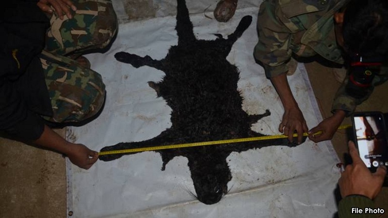 black-pather-carcass.jpg