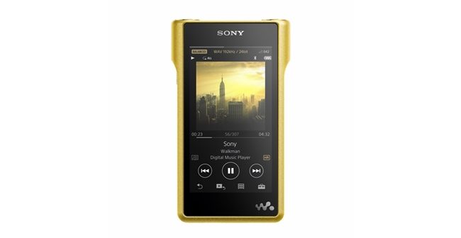 sonywalkamn-650x336.jpg