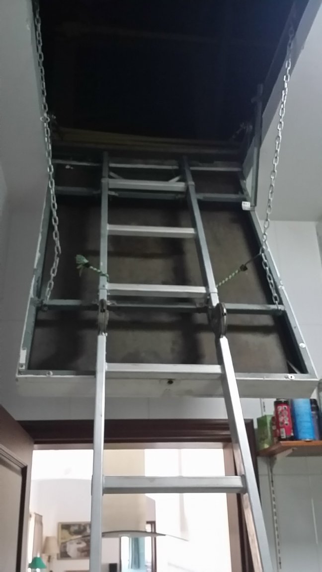 20180314_124253.thumb.jpg.1718b12688a1ced03aa183016517832f.jpg