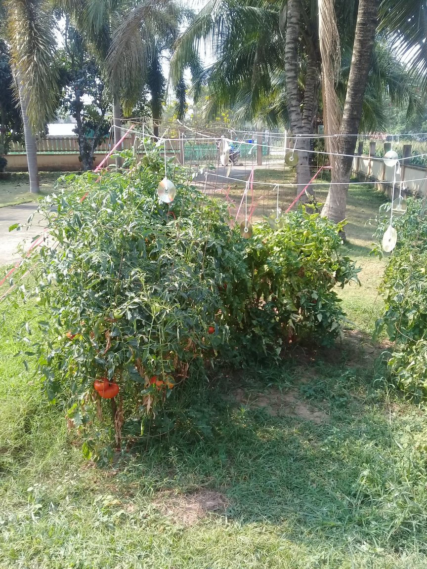 20180318_094859.jpg